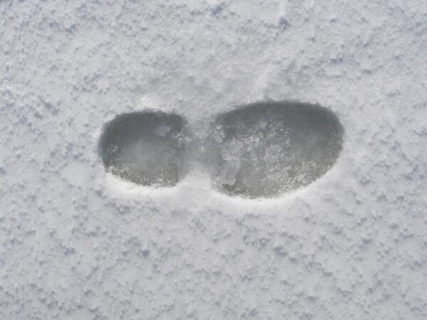 Two footprints pressed into fresh, powdery snow, with clear outlines and some ice forming inside the impressions.