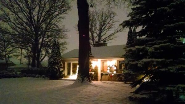 A cozy house glows with warm lights on a snowy night, surrounded by snow-covered trees and a fresh blanket of snow on the ground.