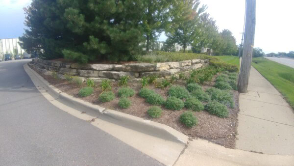 A landscaped area with stone retaining wall, green shrubs, mulch, and pine trees beside a road and sidewalk under a partly cloudy sky.