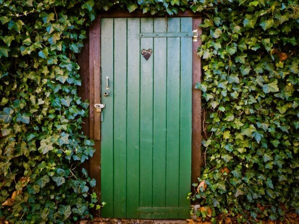 A green wooden door with a small heart decoration is surrounded by dense, leafy ivy vines covering the wall.