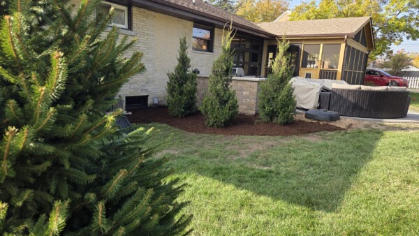 A backyard with green grass, several evergreen trees, a raised stone planter, covered patio furniture, and a screened porch attached to a house. Sunlight casts shadows on the scene.