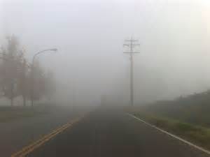 A foggy road with limited visibility, power lines, and faint outlines of trees on either side.