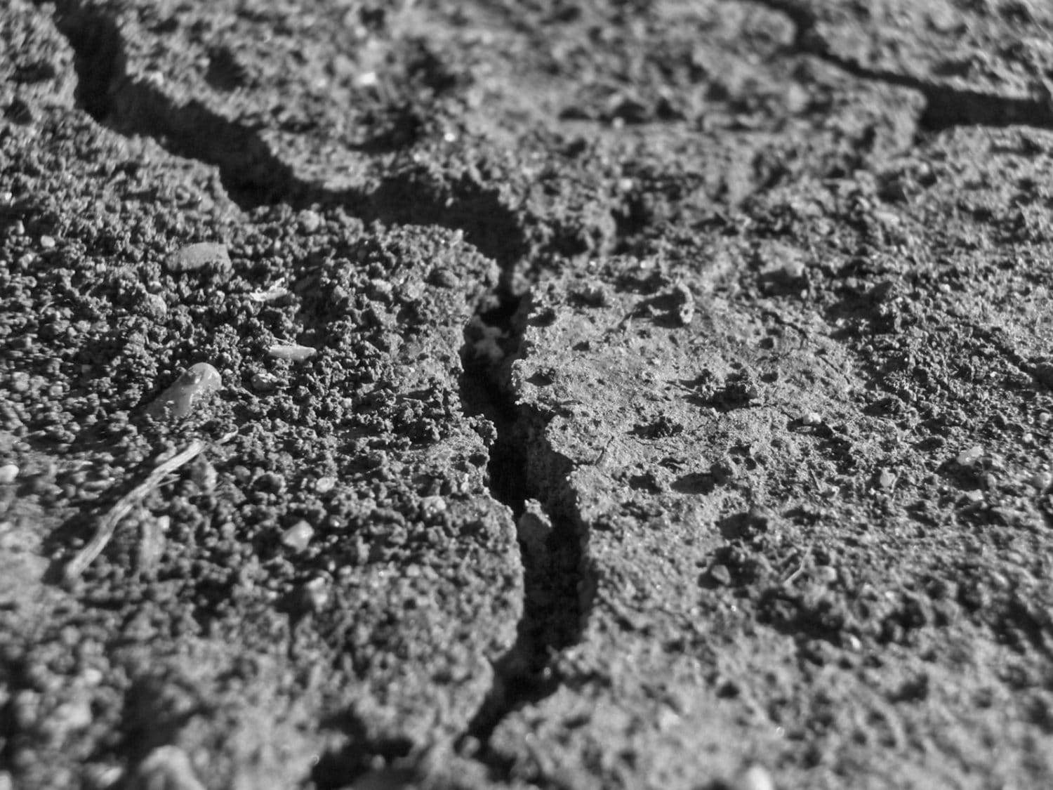 A close-up, black and white photo of dry, cracked soil, showing rough texture and deep fissures on the ground.