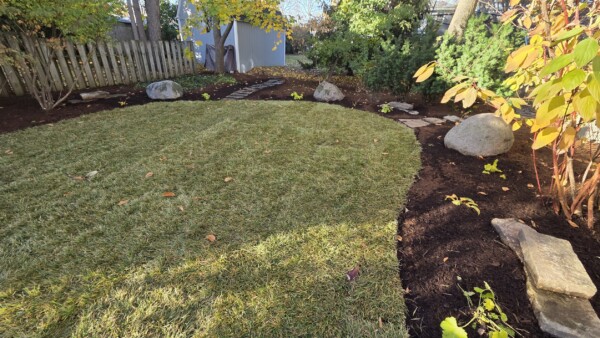A backyard with fresh green grass, a mulched garden bed with rocks and plants, a wooden fence, and trees with autumn leaves. A small stone path leads to a shed in the background.
