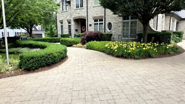 A stone house with large windows is behind a curved, paved driveway, surrounded by manicured hedges, green shrubs, and yellow flowers under leafy trees.