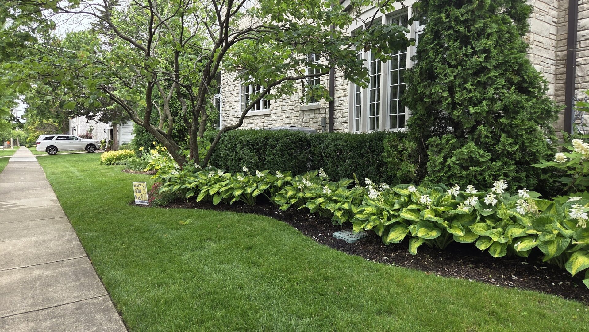 A well-maintained lawn with green grass, flowering plants, shrubs, a stone building, and a white SUV parked on the street. A small yard sign is near the sidewalk.
