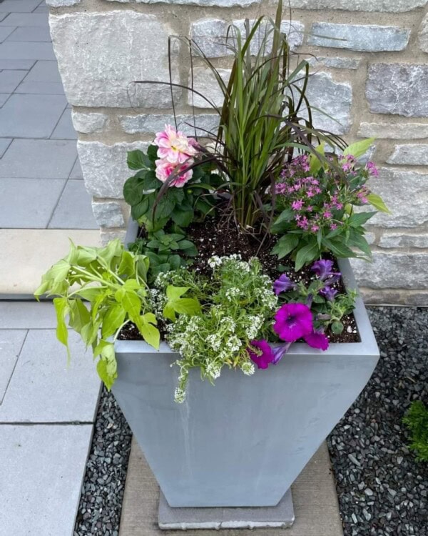A gray planter contains colorful flowers and green foliage, including pink, purple, and white blooms, set against a stone wall on a patio.