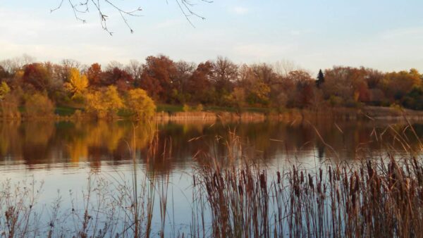 A calm lake reflects autumn trees with colorful leaves in shades of yellow, orange, and red. Tall grasses and reeds are in the foreground, and the sky is clear with some clouds.