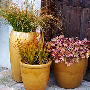 Three yellow ceramic pots filled with ornamental grasses and leafy plants sit on a tiled floor in front of a wooden door. The plants have green, orange, and reddish hues.
