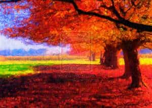 A vibrant autumn scene with large trees displaying bright red and orange leaves, casting shadows on the ground. In the background, there is a field with green and yellow grass under a blue sky.