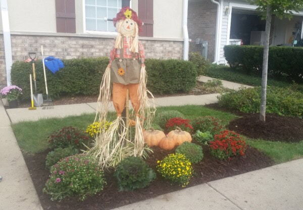 A scarecrow, pumpkins, and fall flowers decorate a mulched garden bed in a front yard beside a sidewalk. Gardening tools and a blue jacket are visible against the house wall.