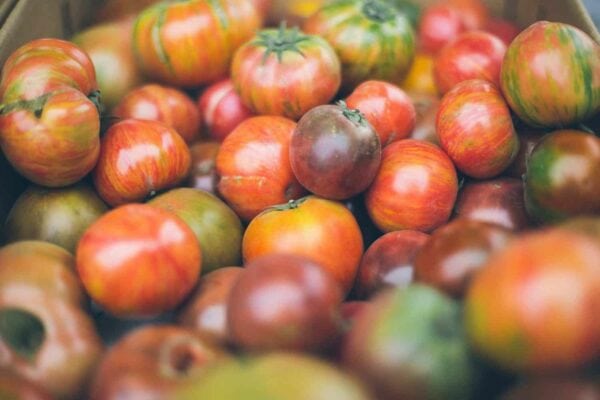A close-up of a pile of heirloom tomatoes in various shades of red, orange, and green, showing their striped patterns and unique shapes.