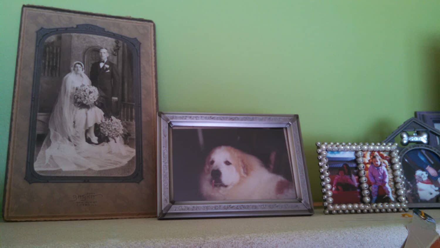 Three framed photos on a mantel: a vintage wedding portrait, a close-up of a fluffy white dog, and two smaller, colorful family photos in decorative frames, all against a green wall.