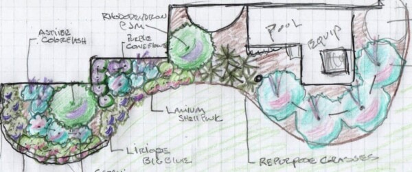 Hand-drawn landscape plan on grid paper showing labeled plants, a pool, pool equipment, and curved garden beds with colored marking for different species and features.