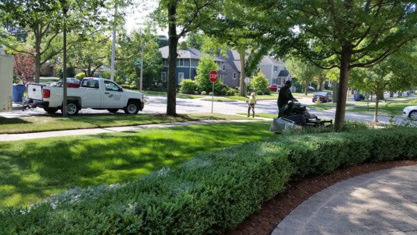 A person rides a lawnmower on a grassy lawn near a sidewalk. A white pickup truck is parked nearby, and houses and trees line the street in the background.