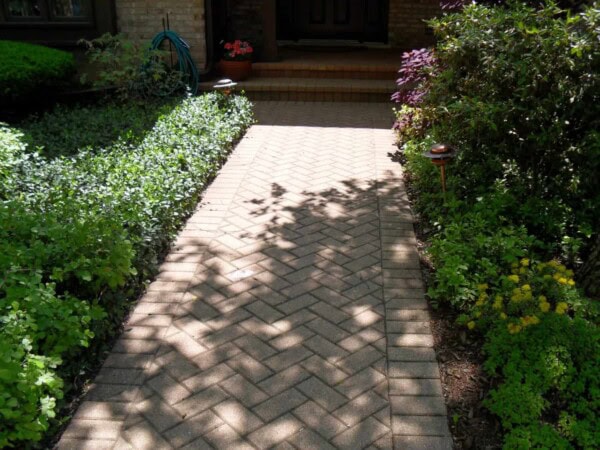 A brick walkway in a herringbone pattern is bordered by green shrubs and flowering plants, leading to a house entrance with potted flowers. Sunlight and shadows fall across the path.