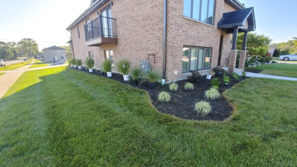 A brick house with a manicured lawn, small potted plants lined up along the side, and a landscaped garden bed with ornamental grasses and bushes in front.