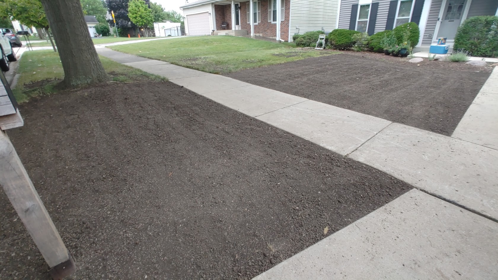 Freshly tilled soil covers two front yards separated by a sidewalk in a suburban neighborhood, with houses, bushes, and a tree nearby.