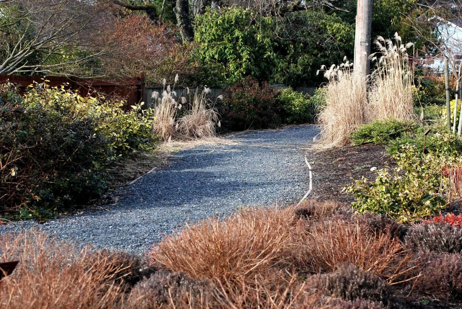 A gravel path winds through a garden with dry grasses, shrubs, and some green foliage. Tall, dried plants border the path, and trees without leaves are visible in the background.