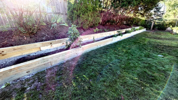 Two long wooden raised garden beds run parallel along a grassy backyard, filled with soil and young plants, bordered by a fence and trees. Sunlight creates a lens flare across the image.