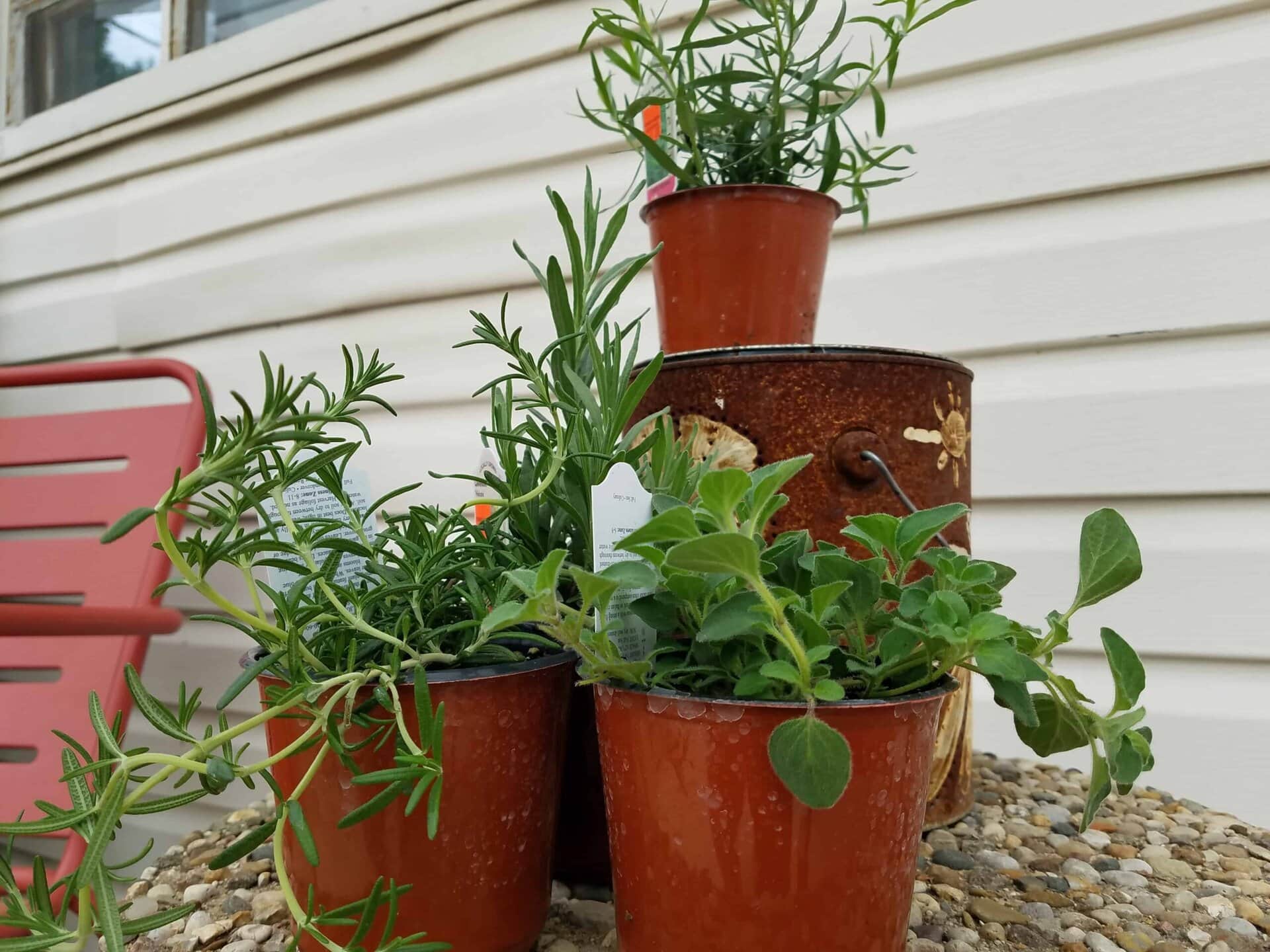 Three small potted plants are arranged on a stone surface and rusty metal container, outdoors near a red chair and cream-colored siding.