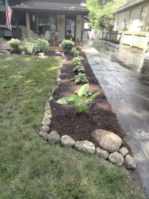 A garden bed bordered with rocks runs alongside a driveway in front of a house, containing various green plants and surrounded by mulch. The lawn is on one side, and the driveway is wet.