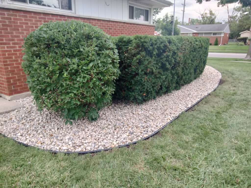 Two neatly trimmed bushes sit in a landscaping bed filled with small white rocks, bordered by black edging, next to a brick house and a lawn.