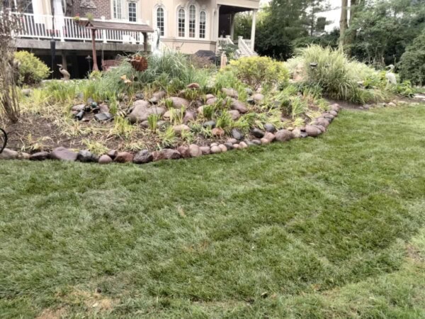 A landscaped garden with green grass, a rock border, and various plants in front of a house with large windows and a deck.
