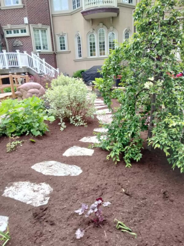 A garden with stepping stones leading through planted shrubs and greenery, set in fresh soil. In the background, theres a large house with arched windows and a balcony.