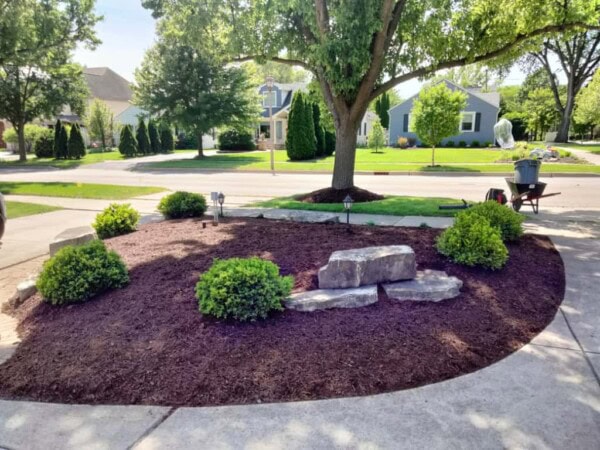 A landscaped front yard with mulch, green bushes, large stones, and a tree in the center, bordered by a curved concrete sidewalk in a suburban neighborhood.