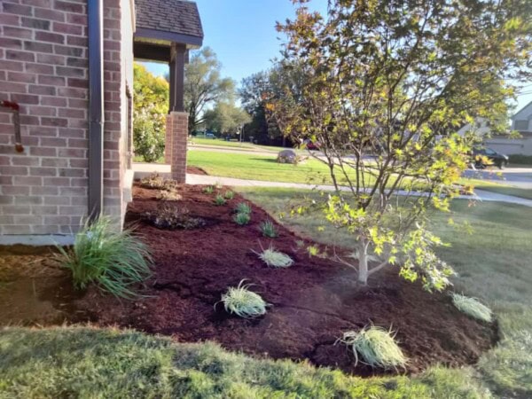 A landscaped garden bed beside a brick house with mulch, small plants, ornamental grasses, and a young tree; green lawn and street visible in the background.