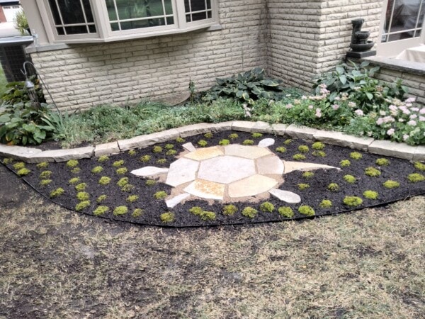 Stone and mulch garden bed shaped like a turtle, with small green plants making up the body. The turtle is bordered by bricks, in front of a brick house with flowers and greenery behind it.