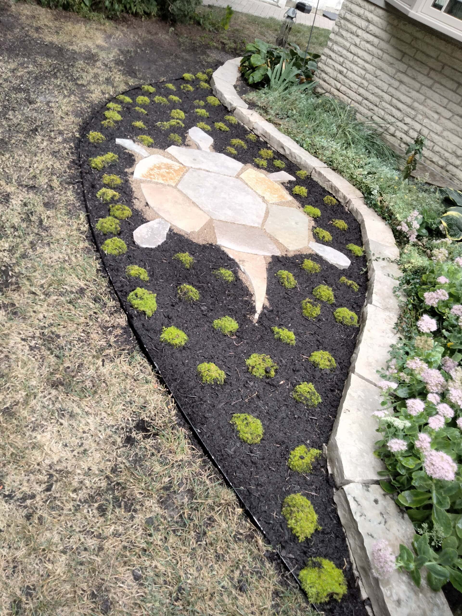 A garden bed shaped like a turtle, with stones forming the turtles shell and limbs. The turtle shape is surrounded by dark mulch and small, evenly spaced green plants.
