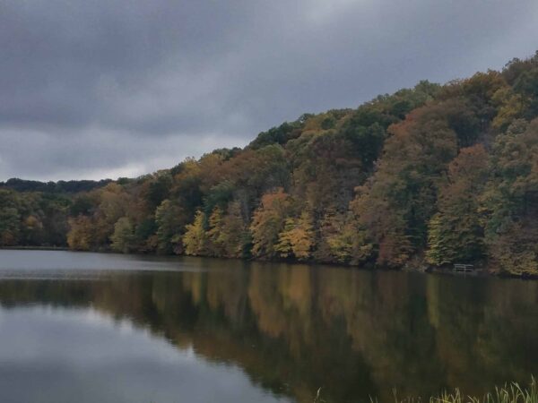 Cloudy sky over a calm lake reflecting a tree-covered hillside with autumn foliage in shades of green, yellow, and orange.