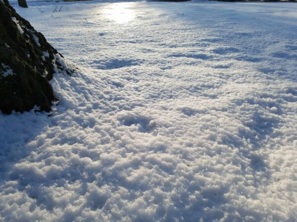 A close-up of a snow-covered ground with sunlight reflecting off the icy surface; part of a dark tree trunk is visible on the left side.