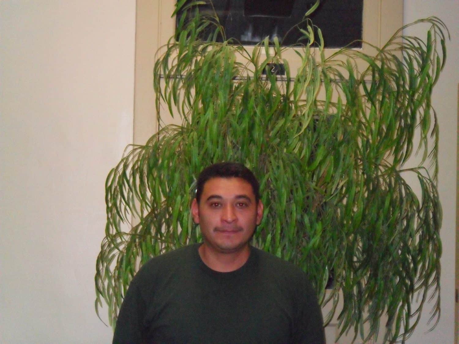 Jose C. A man with short dark hair and a dark green shirt stands indoors in front of a tall green leafy plant and a beige door.
