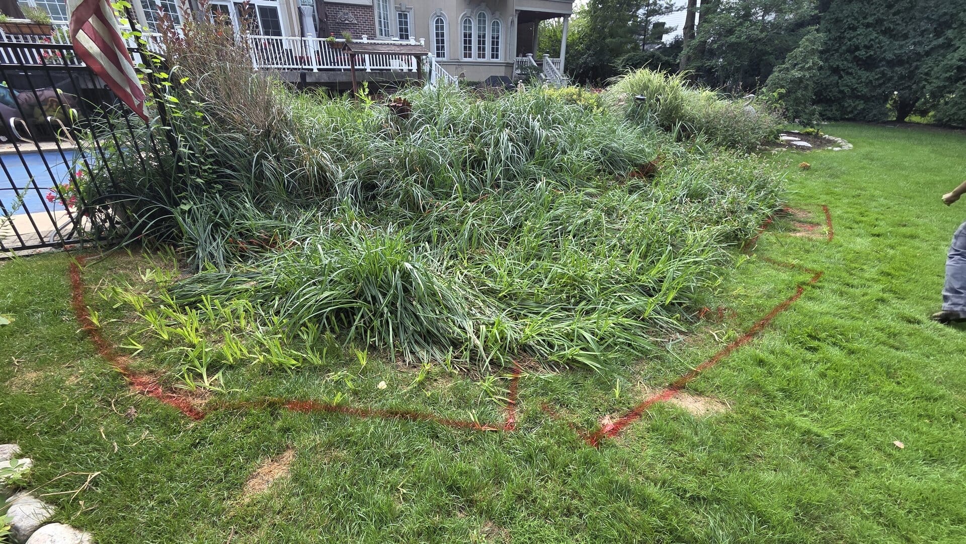 Overgrown grass and plants in a yard, with a red spray-painted outline marking an irregular shape on the lawn. Part of a house, pool fence, and patio are visible in the background. A person stands partially outside the frame.