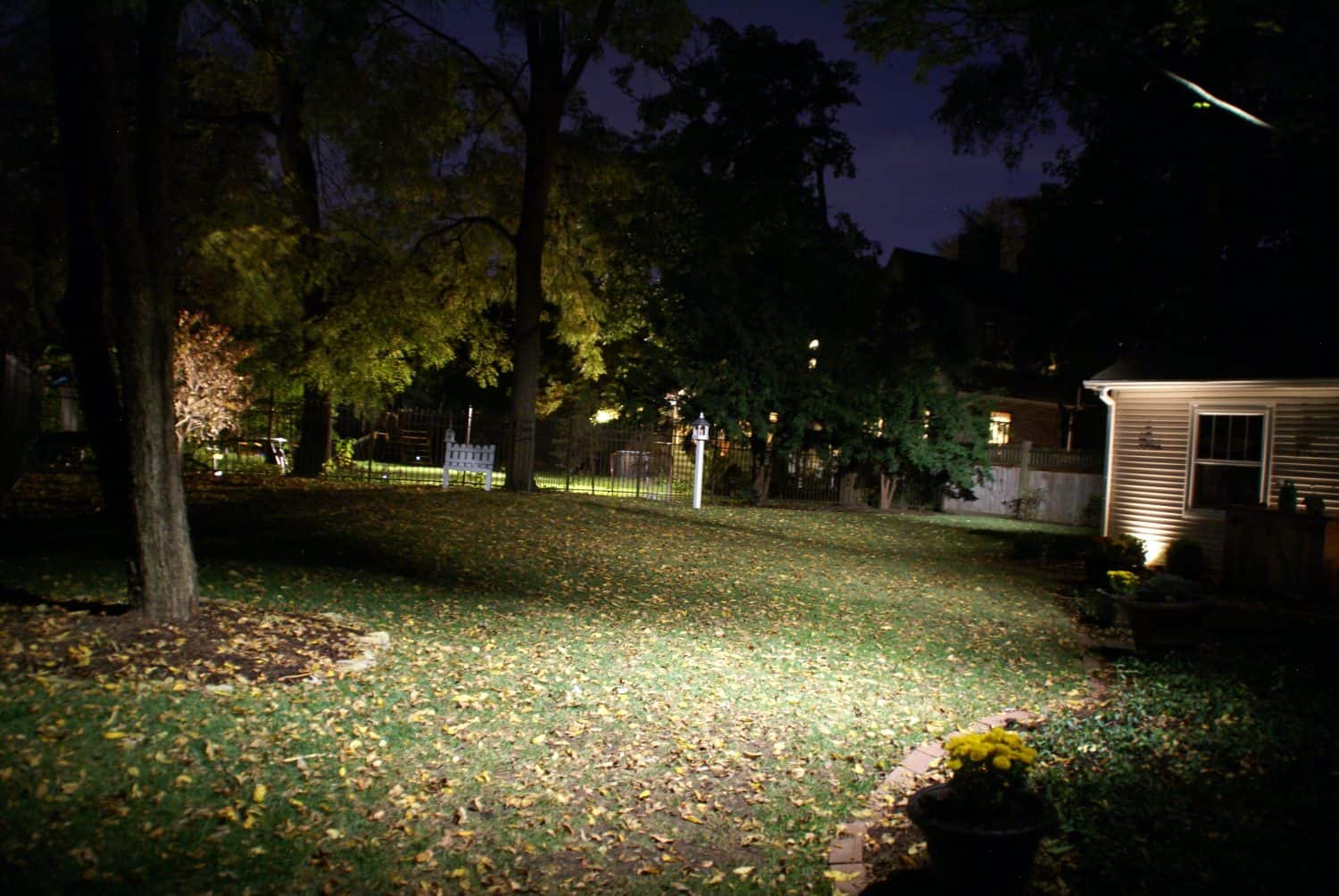 A backyard at night with trees and a house on the right, illuminated by a bright outdoor light. Fallen leaves cover the grass and a potted plant sits in the foreground.