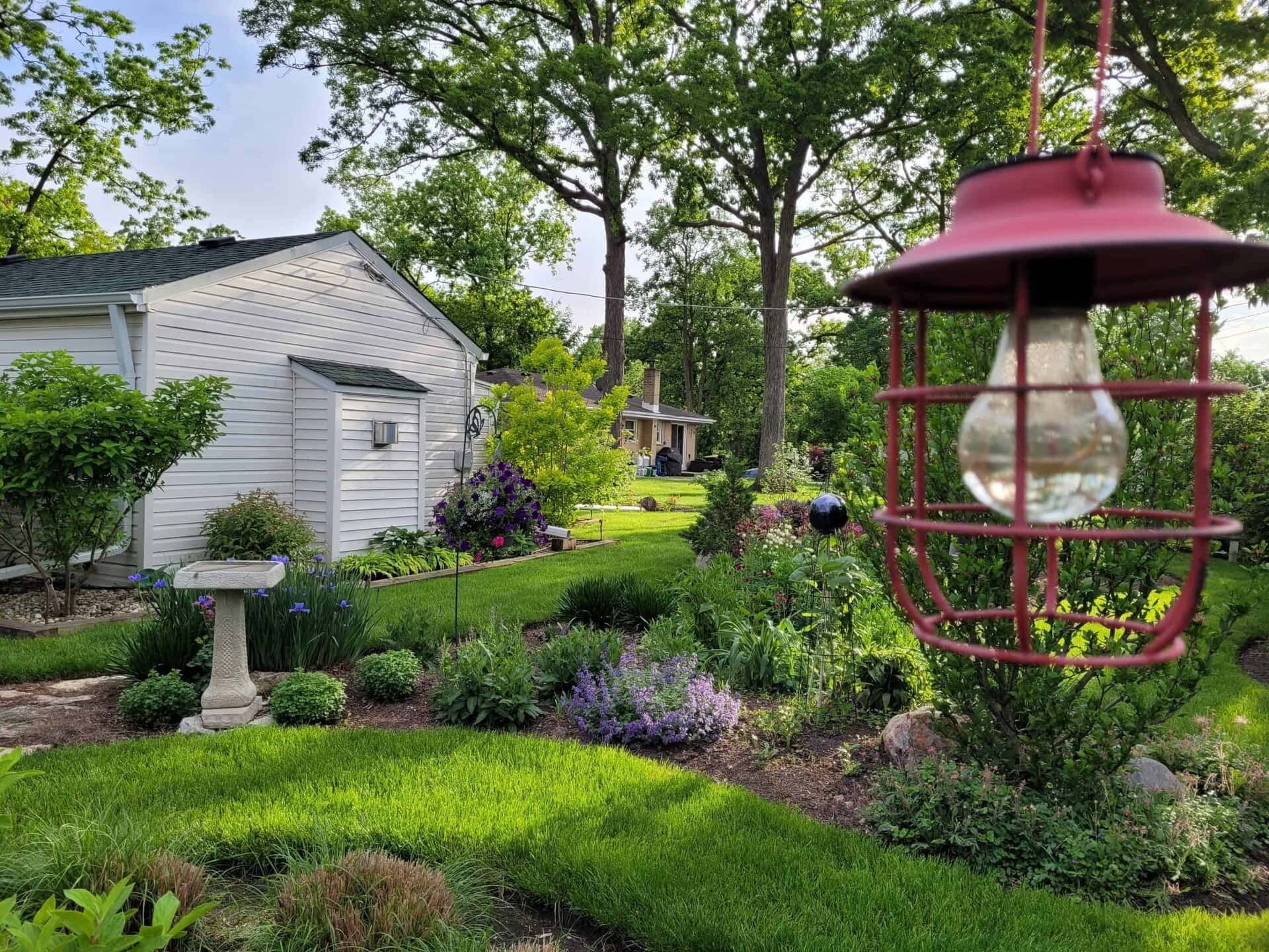 A lush green garden with blooming flowers, a birdbath, and a white house. A red hanging lantern is in the foreground. Tall trees and a second house are visible in the background.
