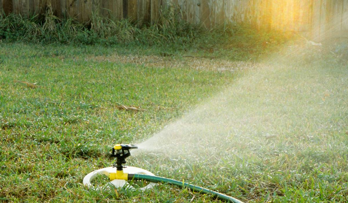 A lawn sprinkler sprays water across a grassy yard, with sunlight streaming in from the top right corner. A wooden fence and green grass are in the background.