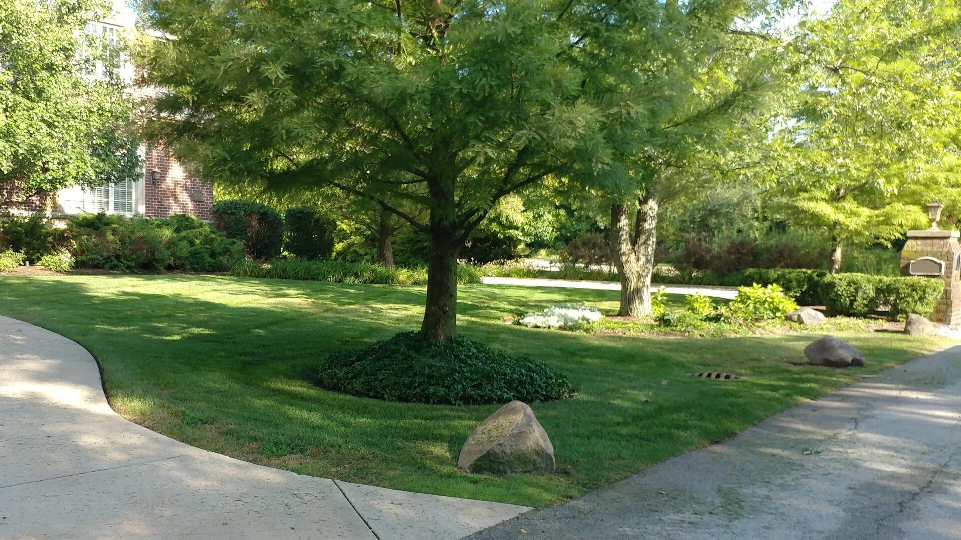 A well-maintained yard with green grass, a large tree at the center, shrubs along the background, a curved sidewalk, rocks near the tree, and sunlight filtering through the leaves.