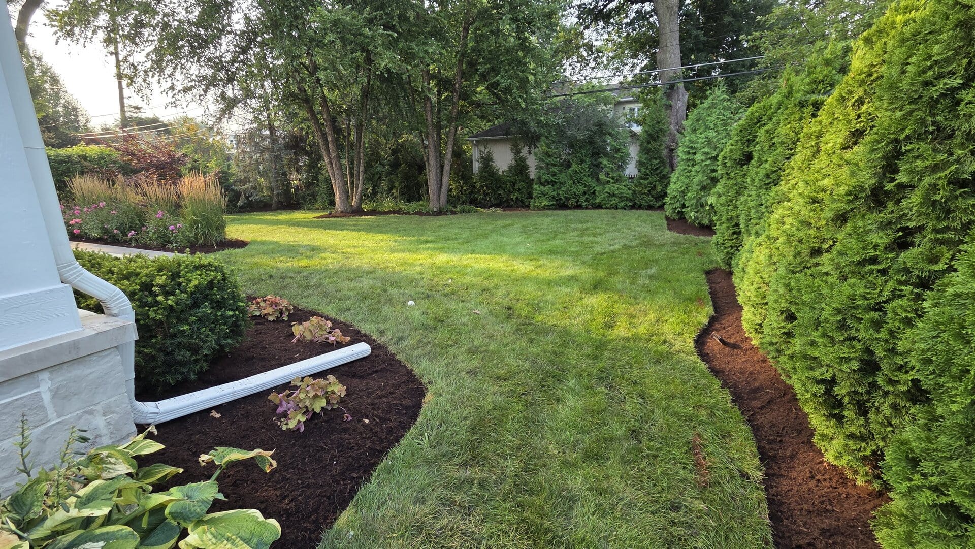 A neatly landscaped backyard with green grass, mulched flower beds, shrubs, trees, and a white downspout. Sunlight filters through the trees, casting shadows on the lawn.