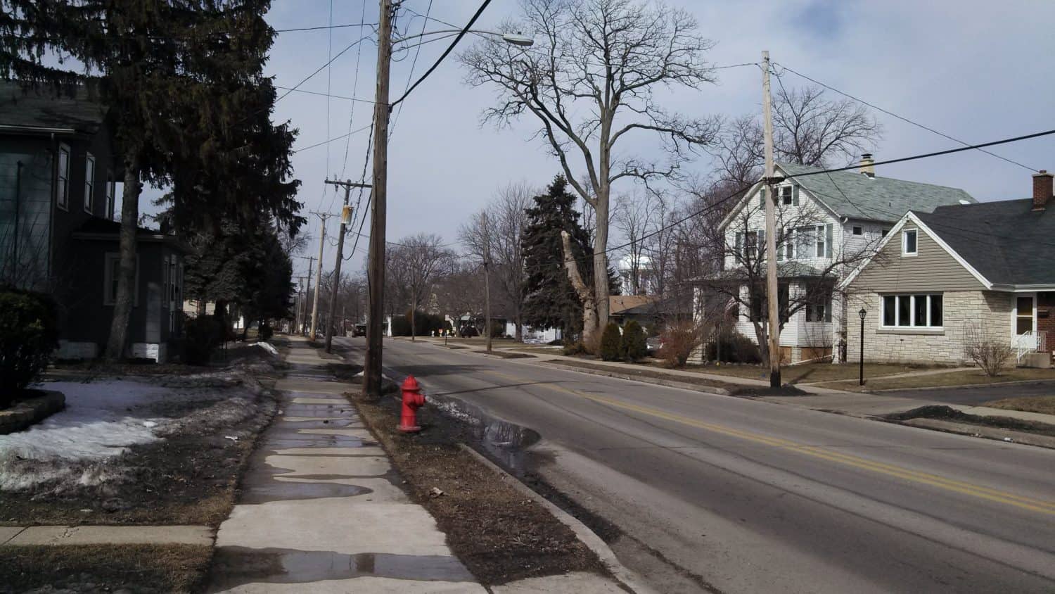 A quiet residential street with bare trees, houses on both sides, a gray sky, some remaining snow on the ground, a red fire hydrant, and a wet sidewalk.