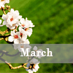 White blossoms on a tree branch with a blurred green background. The word March is overlaid in bold white letters.