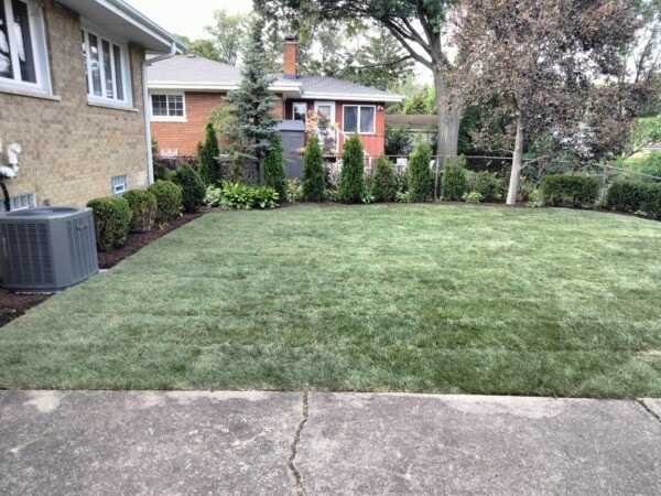 Freshly laid sod covers a small backyard. Shrubs and evergreen trees line the fence. A brick house and an outdoor air conditioning unit are visible on the left side.