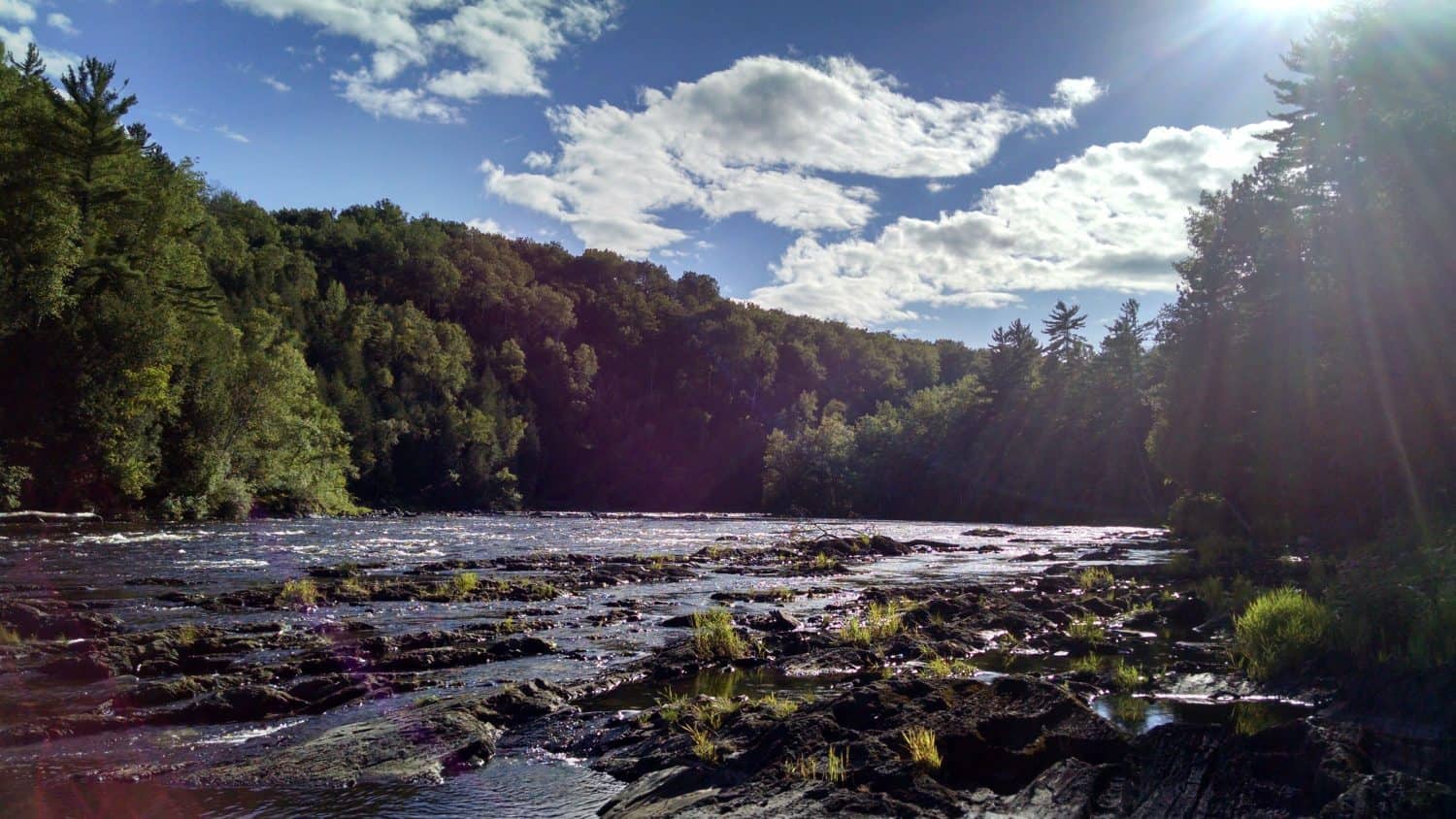 A rocky river flows through a forested landscape under a blue sky with scattered clouds. Sunlight filters through tall trees, creating lens flares and reflections on the water.