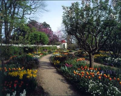 Mount Vernon #1 A curving gravel path winds through a colorful flower garden with blooming tulips and trees; a small white shed with a red roof stands at the back.