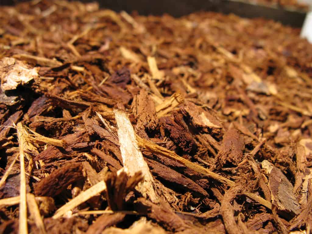 Close-up of brown wood mulch pieces, showing rough, fibrous texture and small wood chips. The image focuses on the mulch, with details of individual splinters and fragments visible.