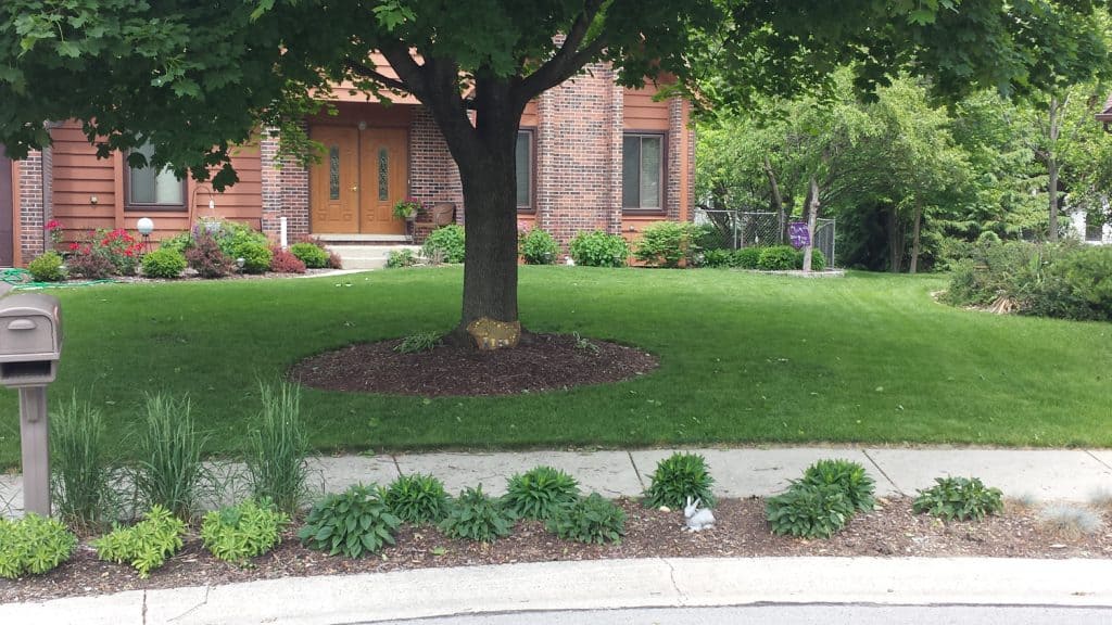 A well-kept lawn with a large tree in the center, surrounded by green shrubs and plants. A brick house with wooden siding is in the background, and a mailbox stands at the edge of the sidewalk.