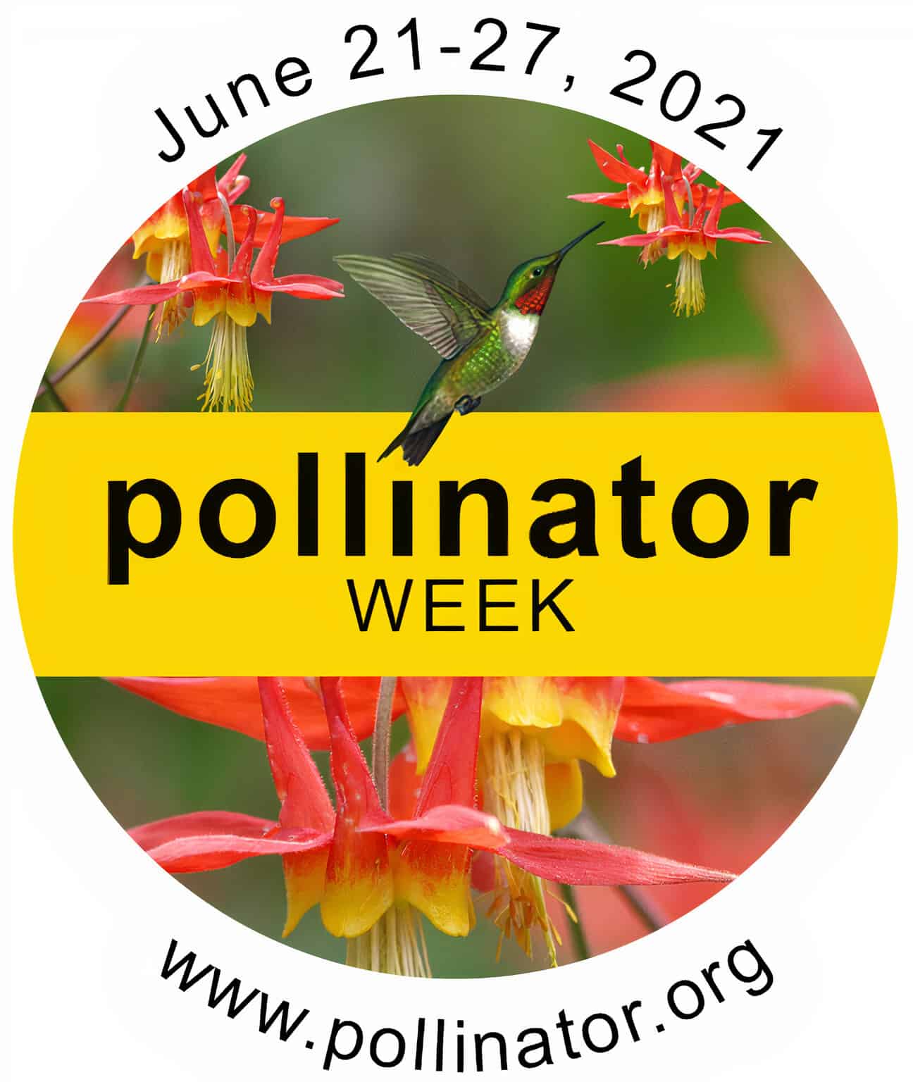 A circular badge with a hummingbird near red flowers, text reads June 21-27, 2021 Pollinator Week www.pollinator.org on a yellow and white background.